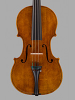 violine